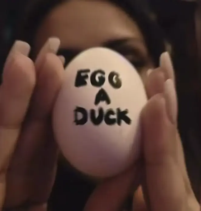 Egg a DUck Philanthropy W26